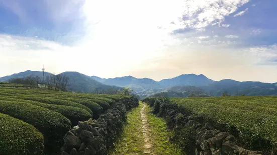 Ninghai National Mountain Hiking Exercise Trail