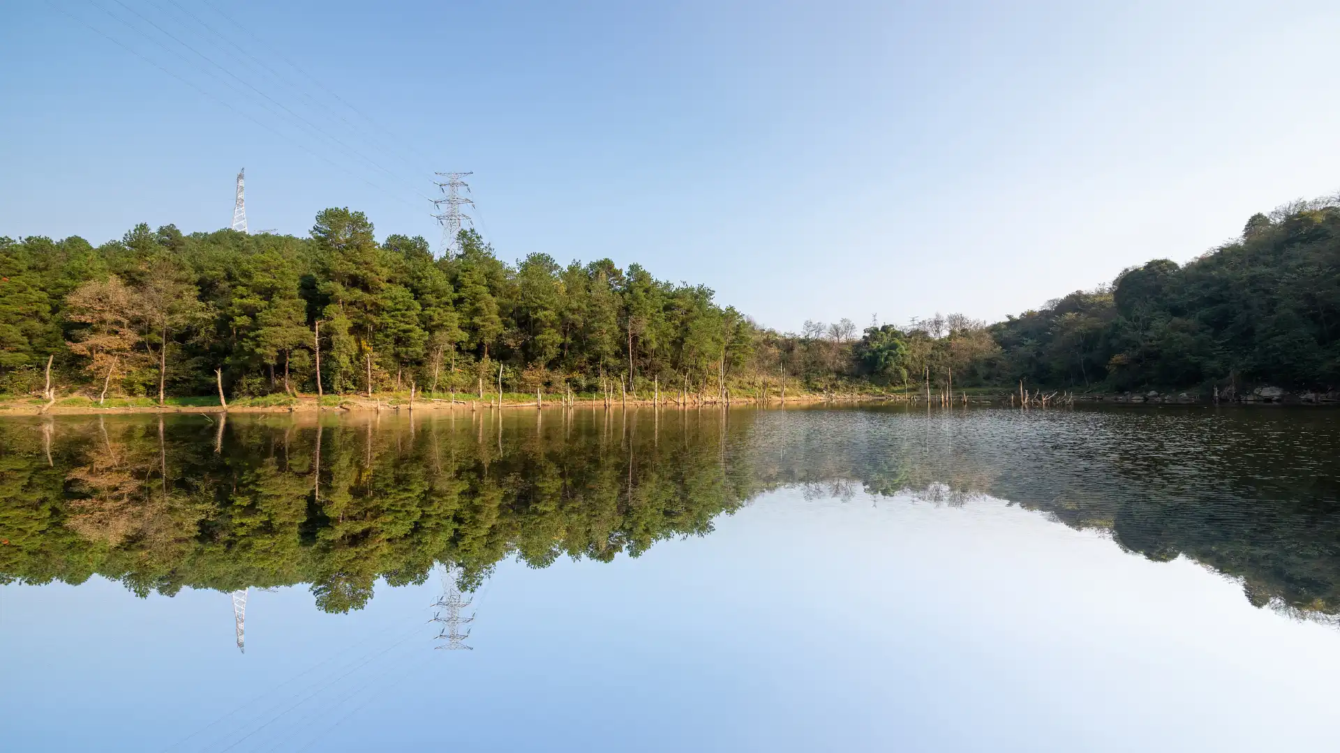 Hoteles cerca de CPC Guizhou Botanical Garden Committee
