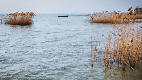 骆马湖湿地因其形状像马得名，具有灌溉、航运、渔业、旅游和工业