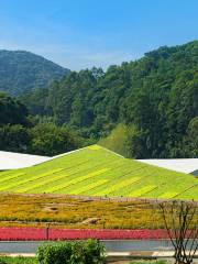 The Tianrenshan Earth Art Park