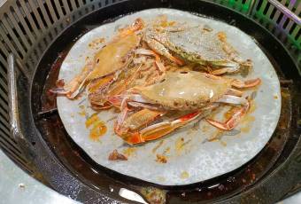 시베츠바베큐 여행 사진