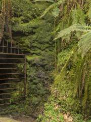 National Trust - Lydford Gorge