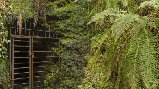 National Trust - Lydford Gorge