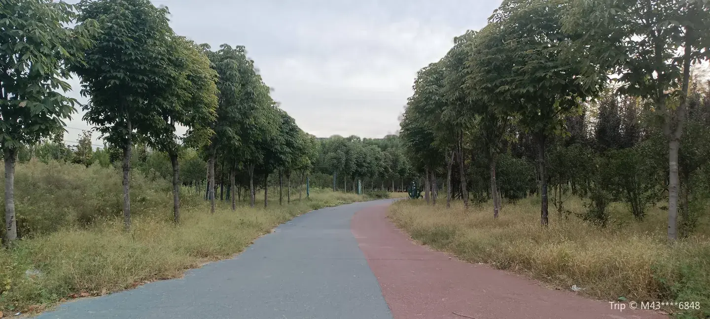 2_South-To-North Water Diversion Ecological and Cultural Park