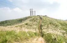 大同山