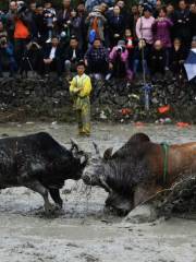 Jinhua Bullring