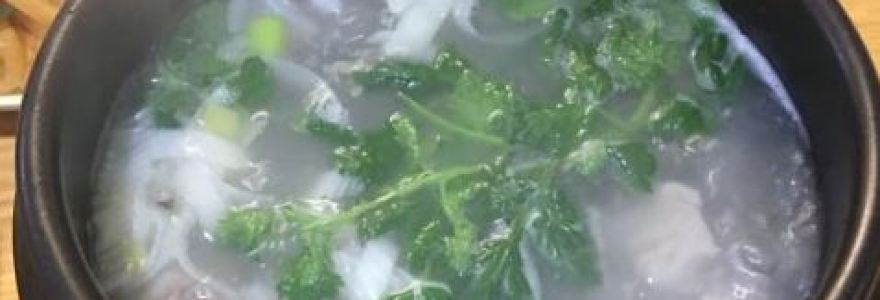 HAN MA WU SHANG PAO FAN