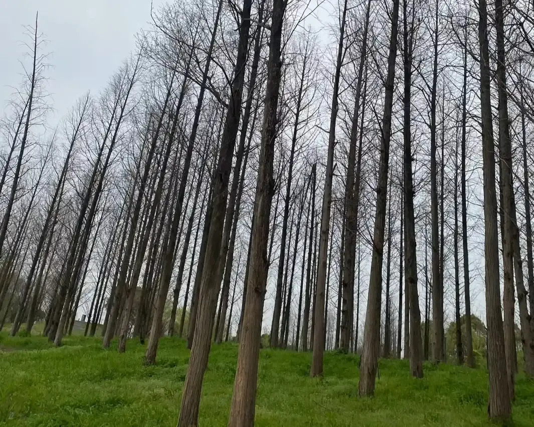 Hotels near Baxi Island