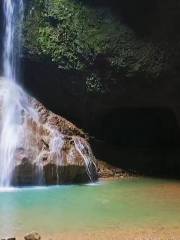 Longevity Waterfall