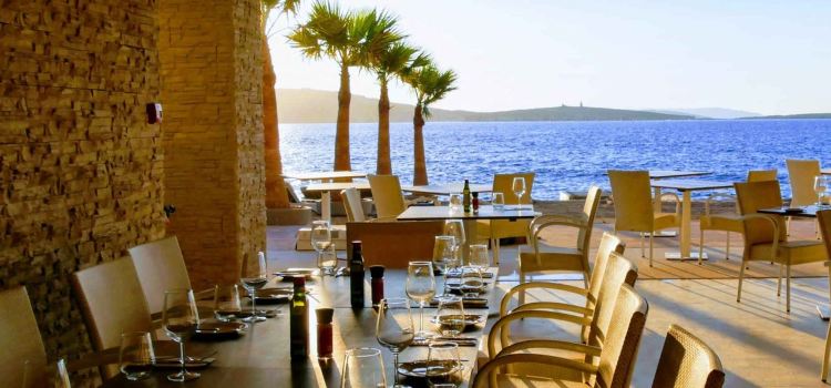 Nine Lives Malta