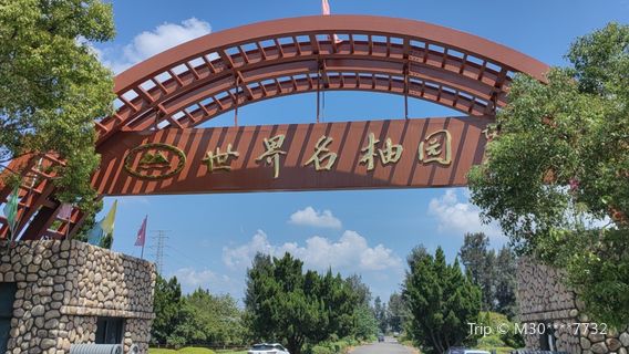 世界名柚園
