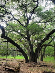 Walker Ranch Historic Landmark Park