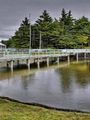 Fish Hatchery Park