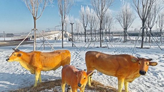 li shu nan he gong yuan