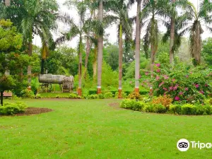 Waghai Botanical Garden