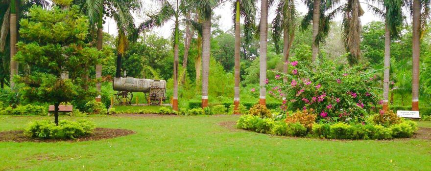 Waghai Botanical Garden