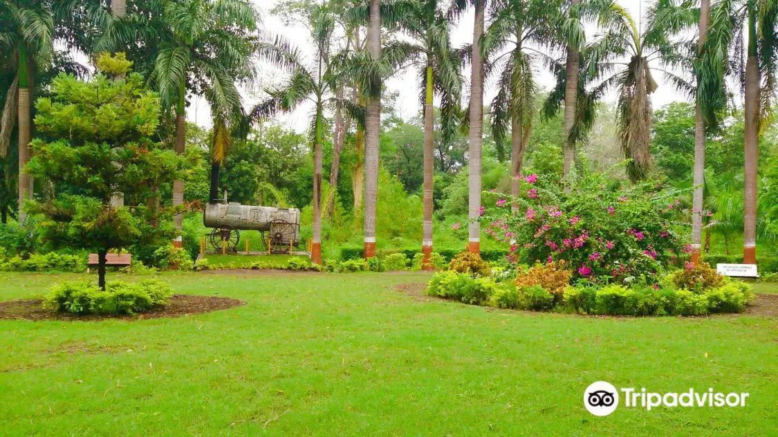 웨가이 보태니컬 가든 주변 호텔