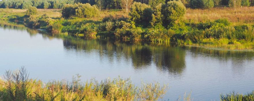 National Park "Ugra"