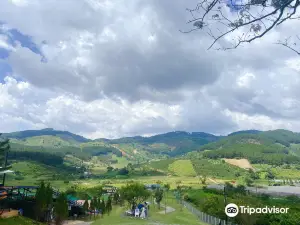Mongo Land Dalat