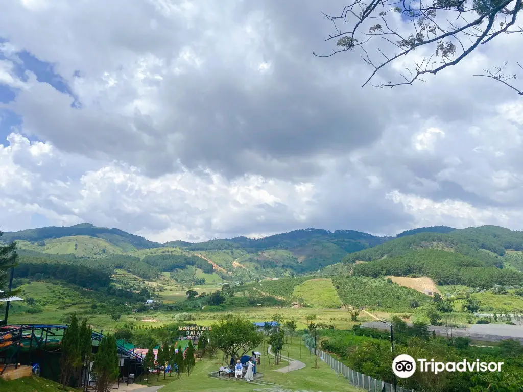 Mongo Land Dalat