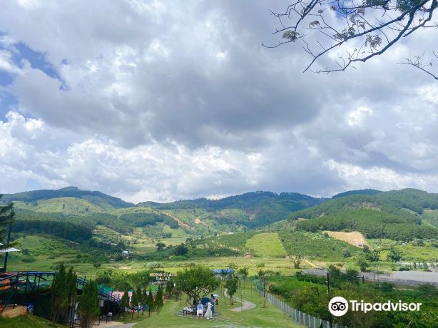 Mongo Land Dalat