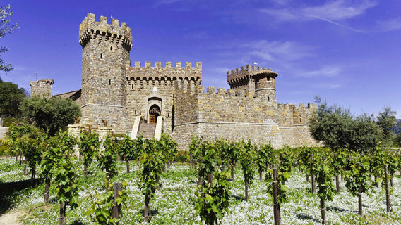 Castello di Amorosa