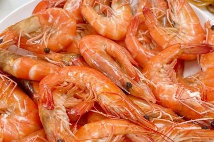 MEI WEI XIAN HAI XIAN FAN DIAN