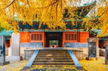 鄭州10大賞秋好去處