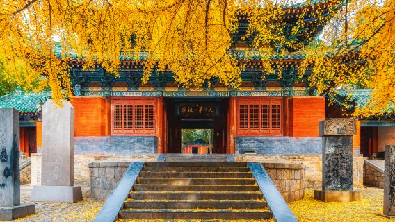 河南洛陽少林寺+洛陽白馬寺一日遊【洛陽起止市區飯店上門接】