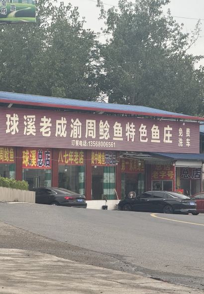 球溪老成渝周鲶鱼(总店)
