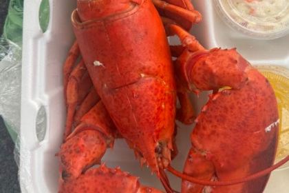 Yankee Lobster