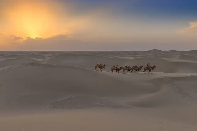 Camel Riding in Kashi