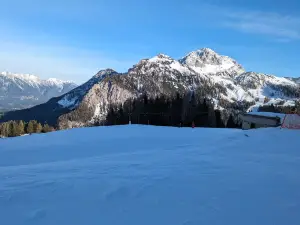 Millennium Express Tressdorfer Alm station