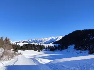 Domaine de ski de fond de Beauregard