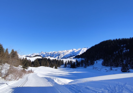 Domaine de Ski de Fond de Beauregard