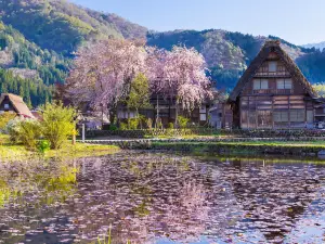 大野郡的熱門踏青走春地