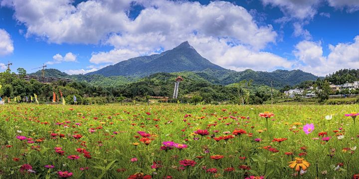 National Park of Hainan Tropical Rainforest