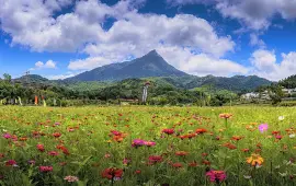 National Park of Hainan Tropical Rainforest