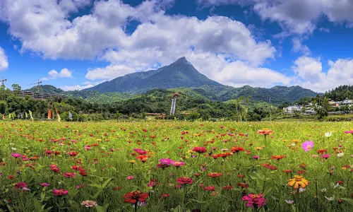 Hainan Tropical Rainforest National Park Wuzhi Mount