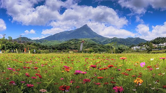 National Park of Hainan Tropical Rainforest