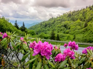 Parco nazionale delle Great Smoky Mountains