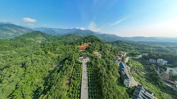 玩水避暑