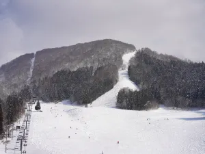 Nozawa Onsen Snow Resort