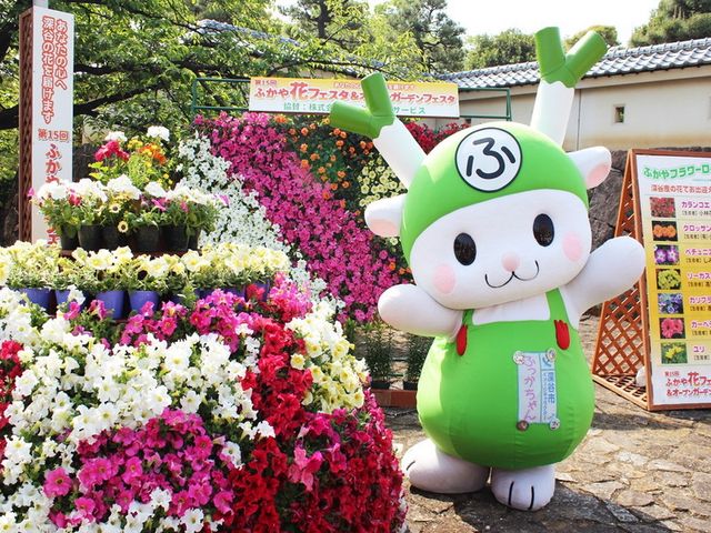 深谷花卉和開放花園節 | 深谷市