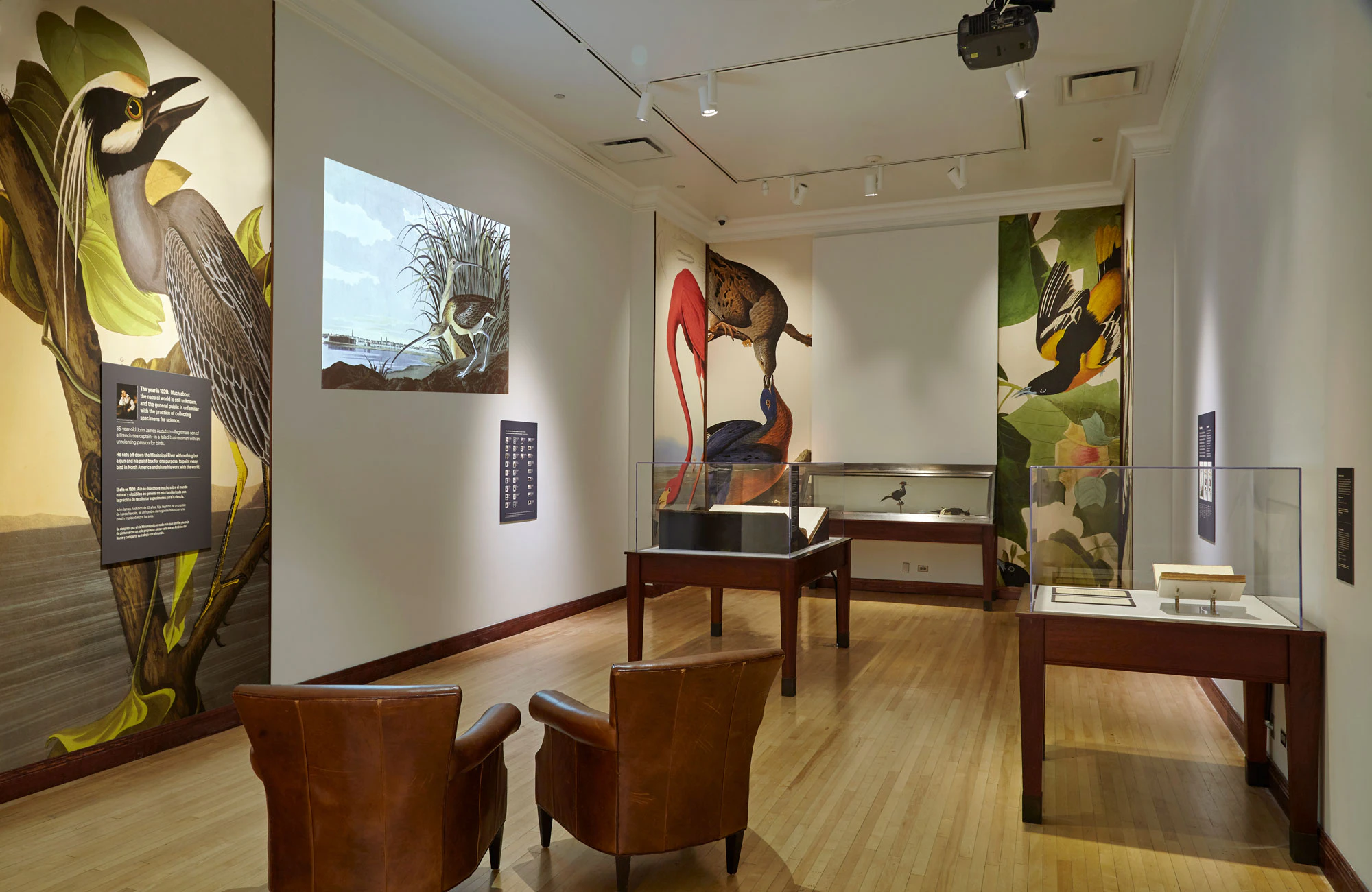 奧杜邦美國鳥類協會展 | 菲爾德博物館
