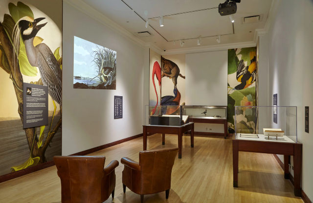 奧杜邦美國鳥類協會展 | 菲爾德博物館