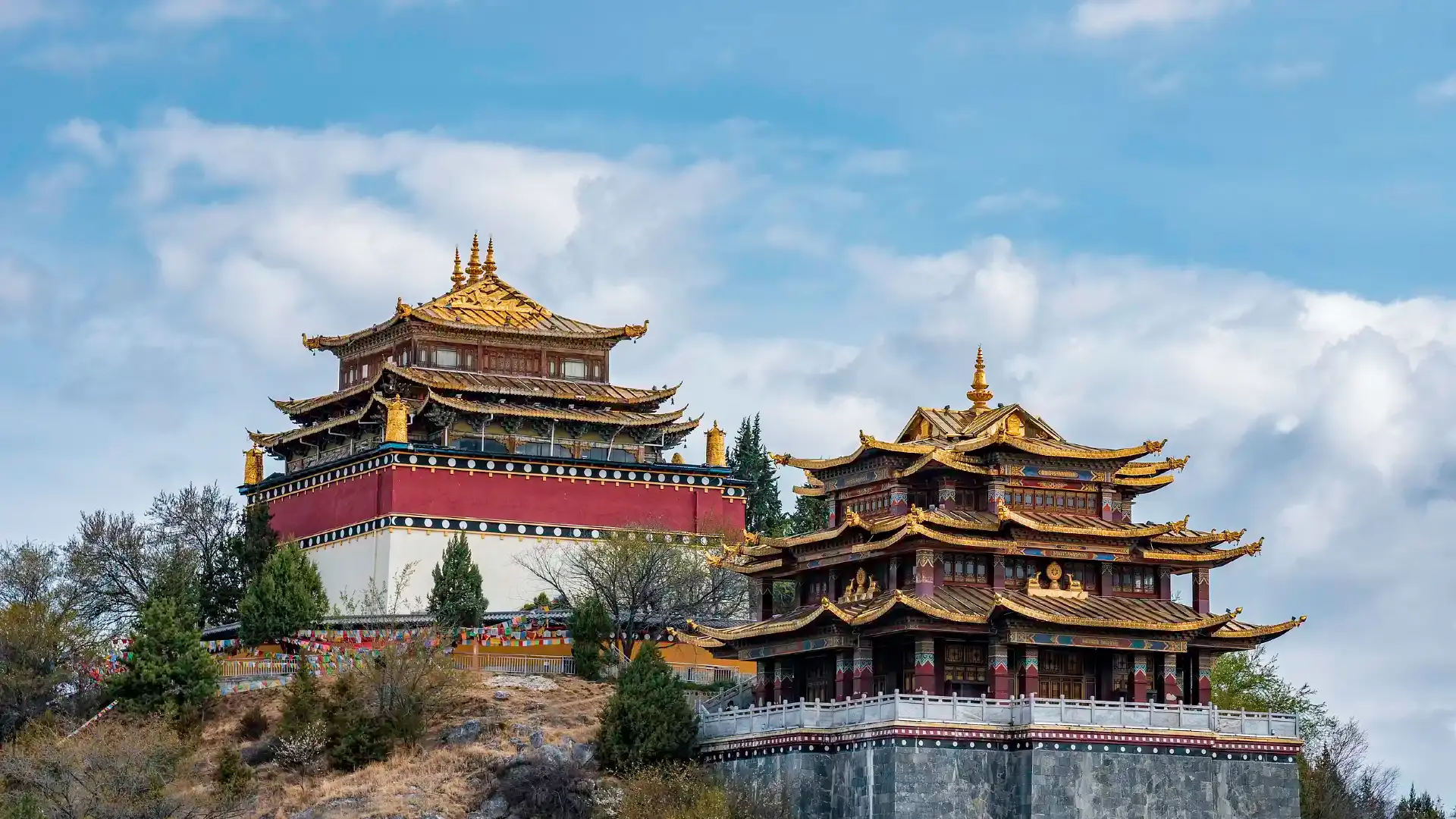 Hotels near Guishan Park