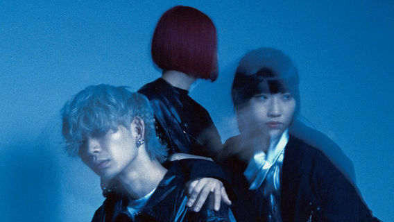 Fukui | Beat Phoenix 2025