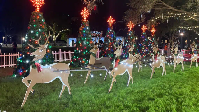 聖彼得堡市中心濱水公園聖誕燈飾 | 聖彼得堡