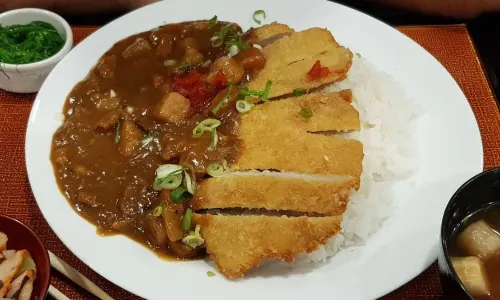 Nueva Casa Japonesa